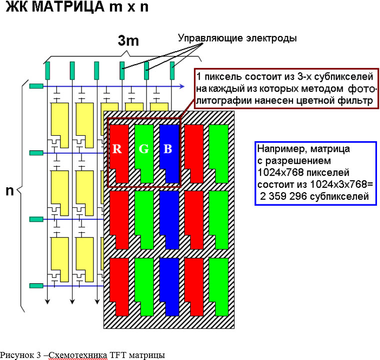 ris1-3.jpg